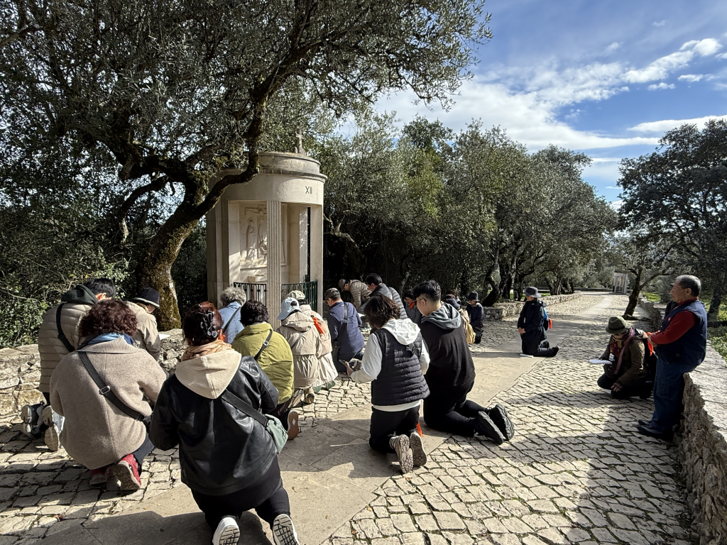 2024년 제주 동문 성당  프랑스 루르드 포르투갈 파티마 성모님 발현지 및 남 스페인 순례 11박 12일 순례     첨부파일 : 1732510153.jpg