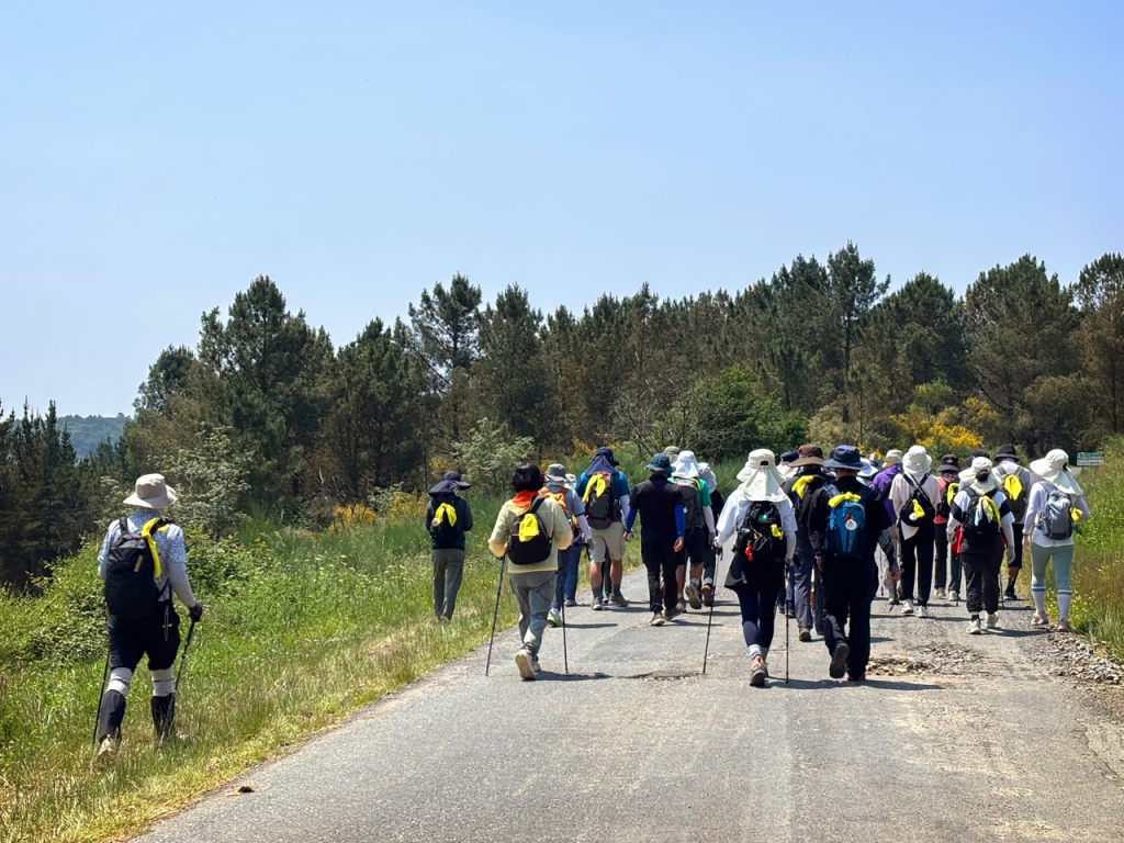 2025년 광주대교구 경제인 연합회에서 산티아고 도보 순례길을 11박 12일 여정으로 순례하였다.     첨부파일 : 1751004924.jpg