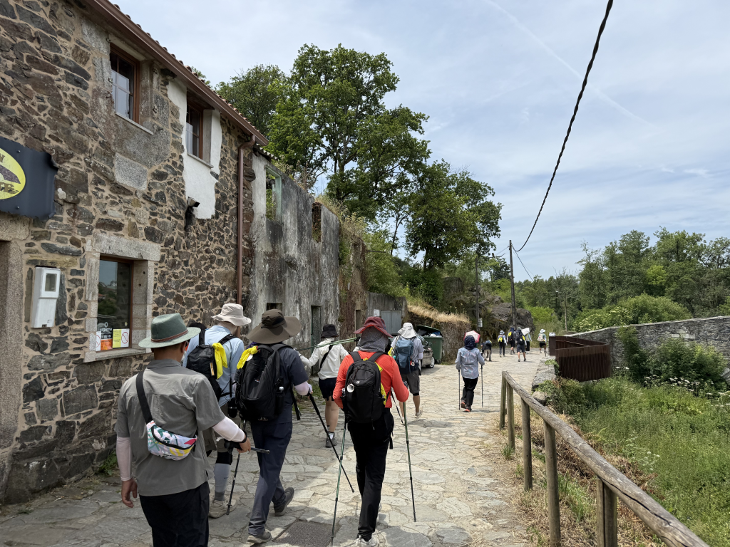 2025년 광주대교구 경제인 연합회에서 산티아고 도보 순례길을 11박 12일 여정으로 순례하였다.     첨부파일 : 1751004967.jpg